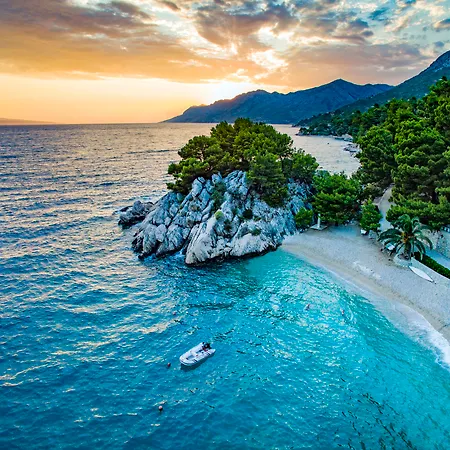 Bluesun Maestral بريلا