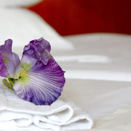 Hotel Bluesun Maestral 4*