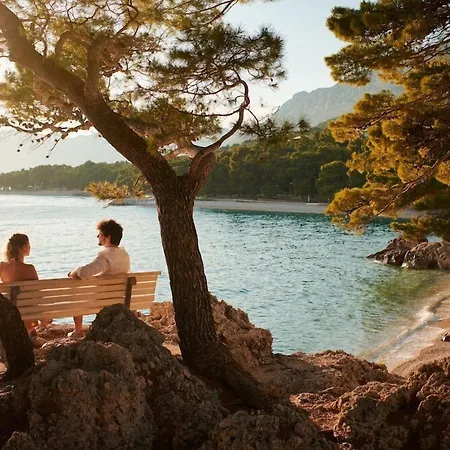 Maestral Adults Exclusive