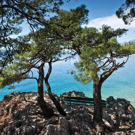 Hotel Bluesun Maestral 4*