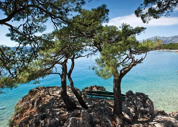 Отель Bluesun Maestral 4*